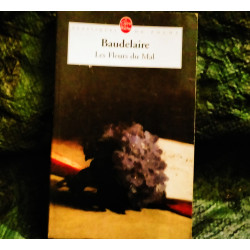 Les Fleurs du Mal - Charles Baudelaire
- Livre de Poche 370 Pages
Très bon état garanti 15 Jours