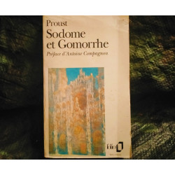 Sodome et Gomorrhe - Marcel Proust
- Livre Folio 645 Pages
Très bon état garanti 15 Jours