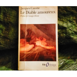 Le Diable amoureux - Jacques Cazotte
- Livre Folio Classique 348 Pages
Roman Très bon état garanti 15 Jours